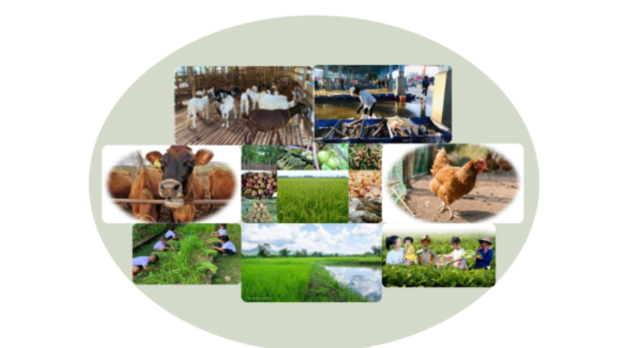 A STUDY OF FOOD VALUE CHAINS IN THE CONTEXT OF COVID-19 OUTBREAK IN THE SOUTHERN BORDER PROVINCES